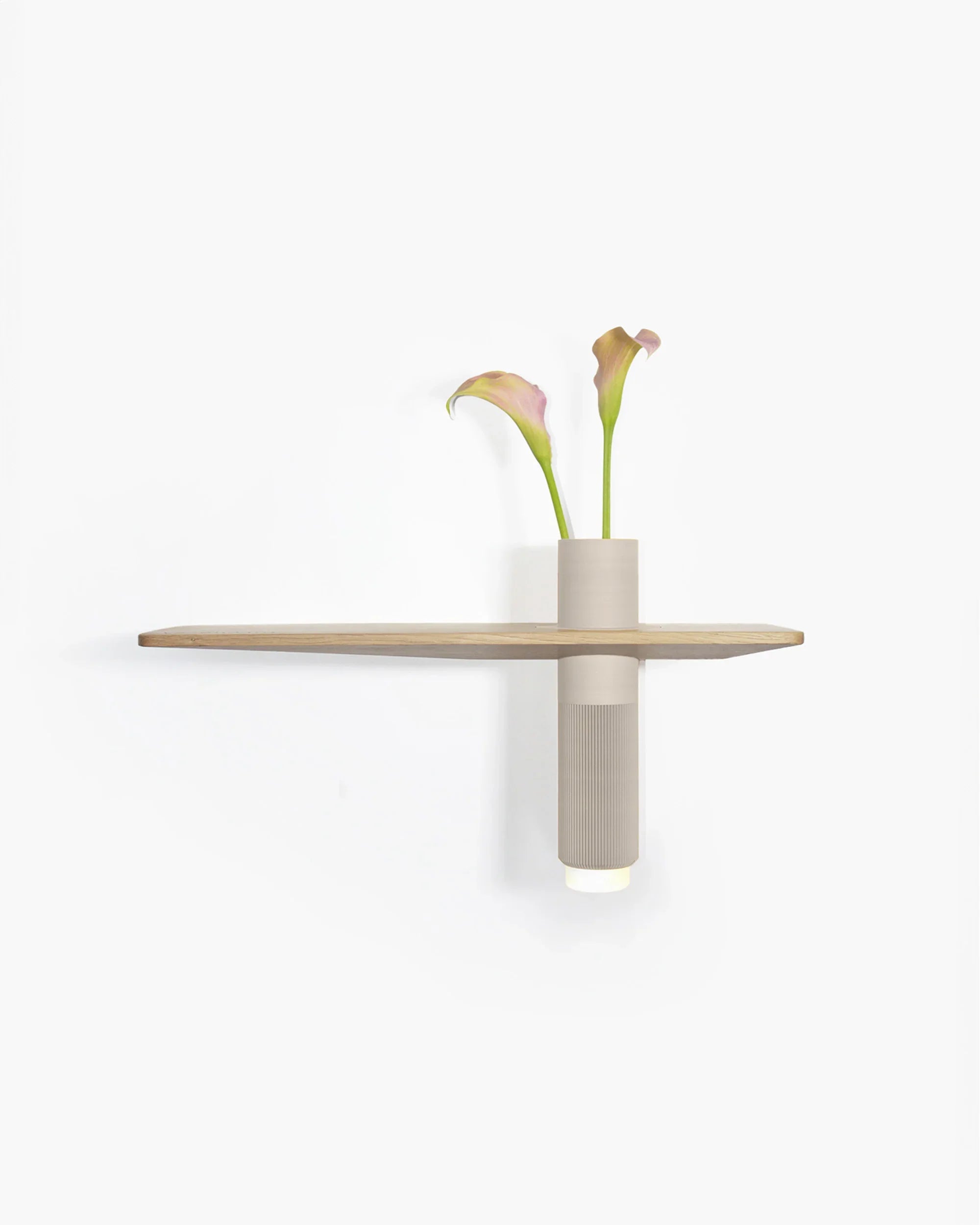 Modernes Wandregal mit Pflanzen und Dekoration im Wohnzimmer