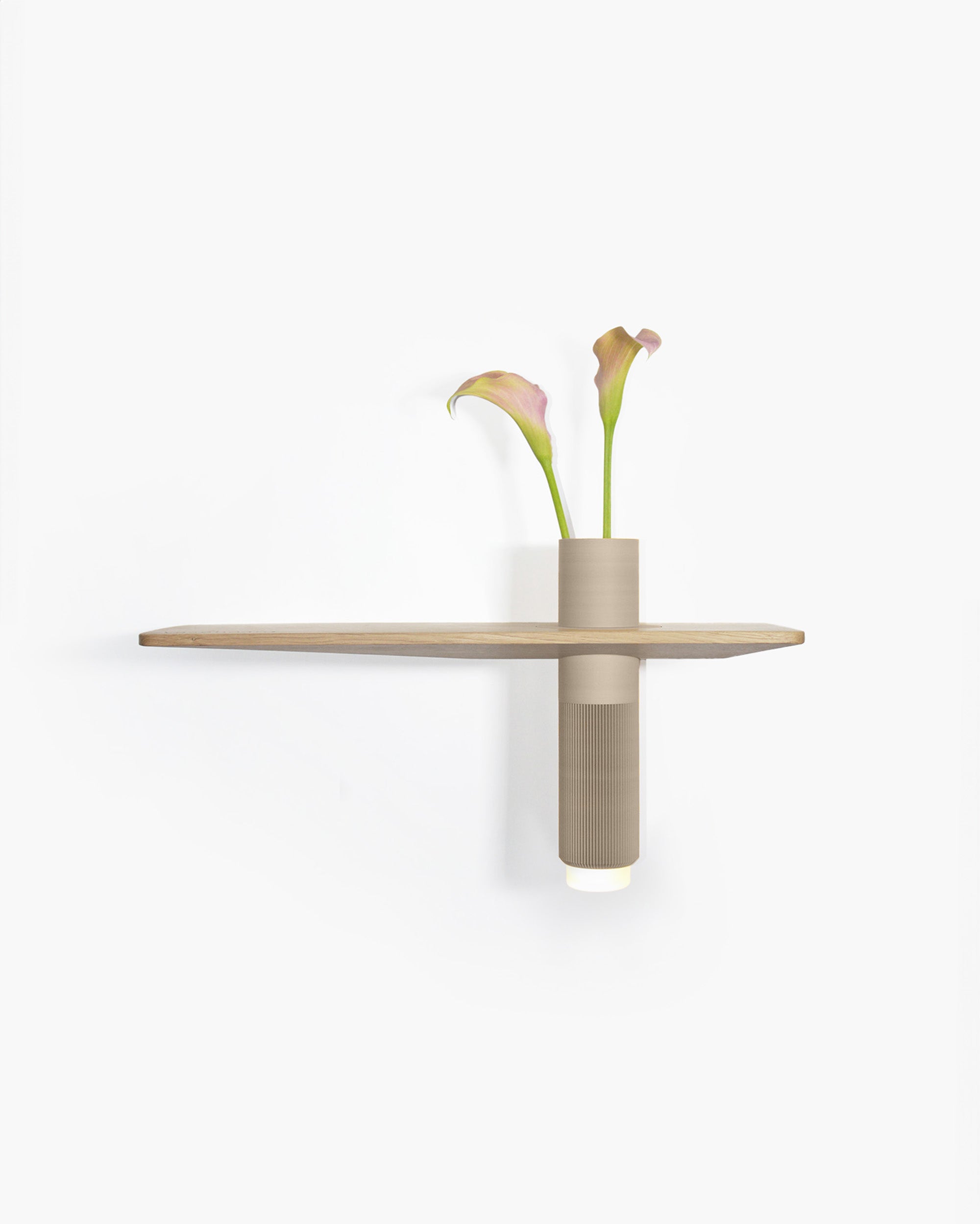 Vaseboard Wandregal mit Trockenblumen und minimalistischer Wohnraumdekoration