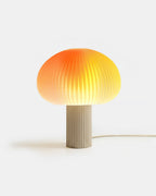 AURA Lamp | Design Tischleuchte mit Farbfilter System