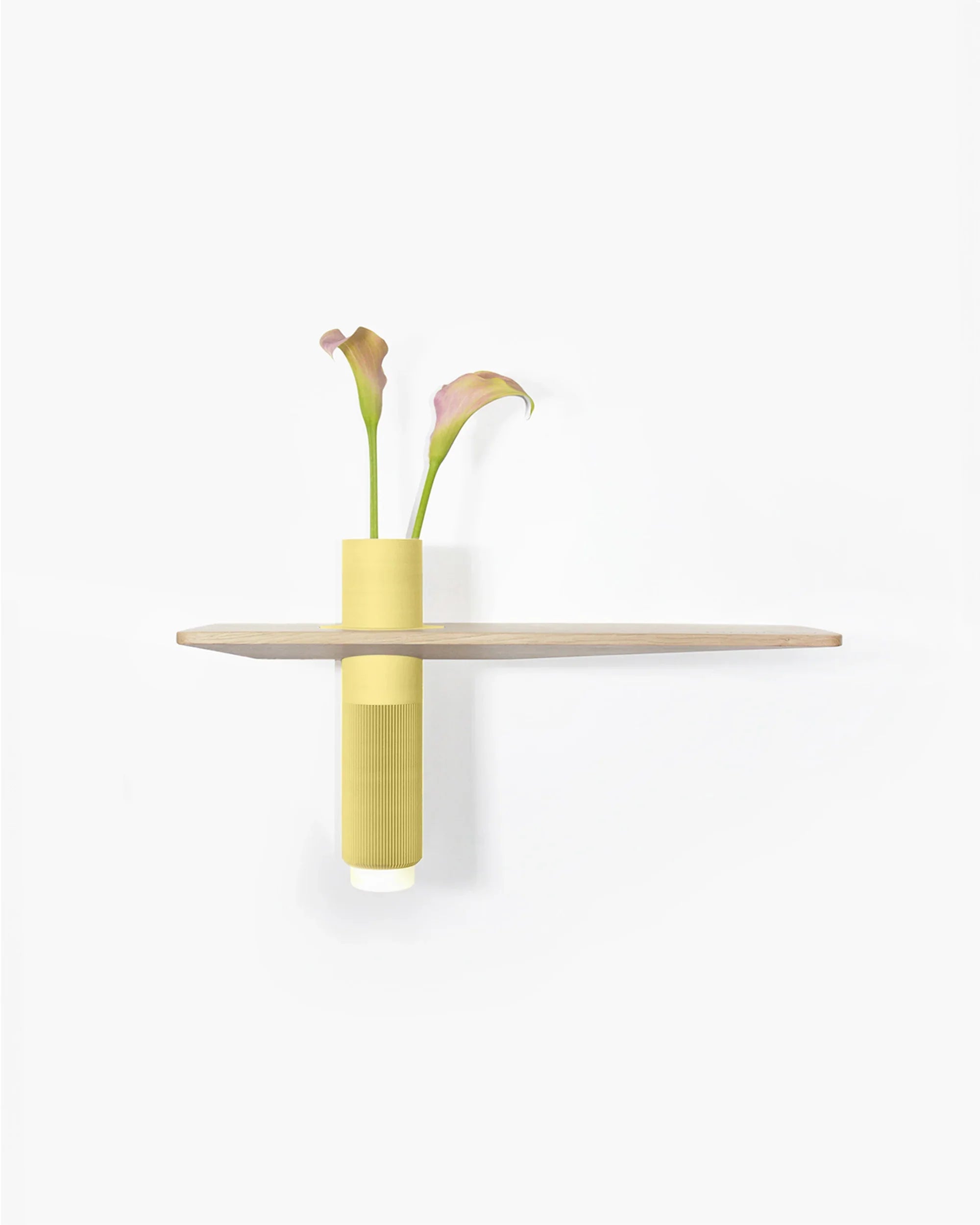 Vaseboard M Natur x Pastell - greenior