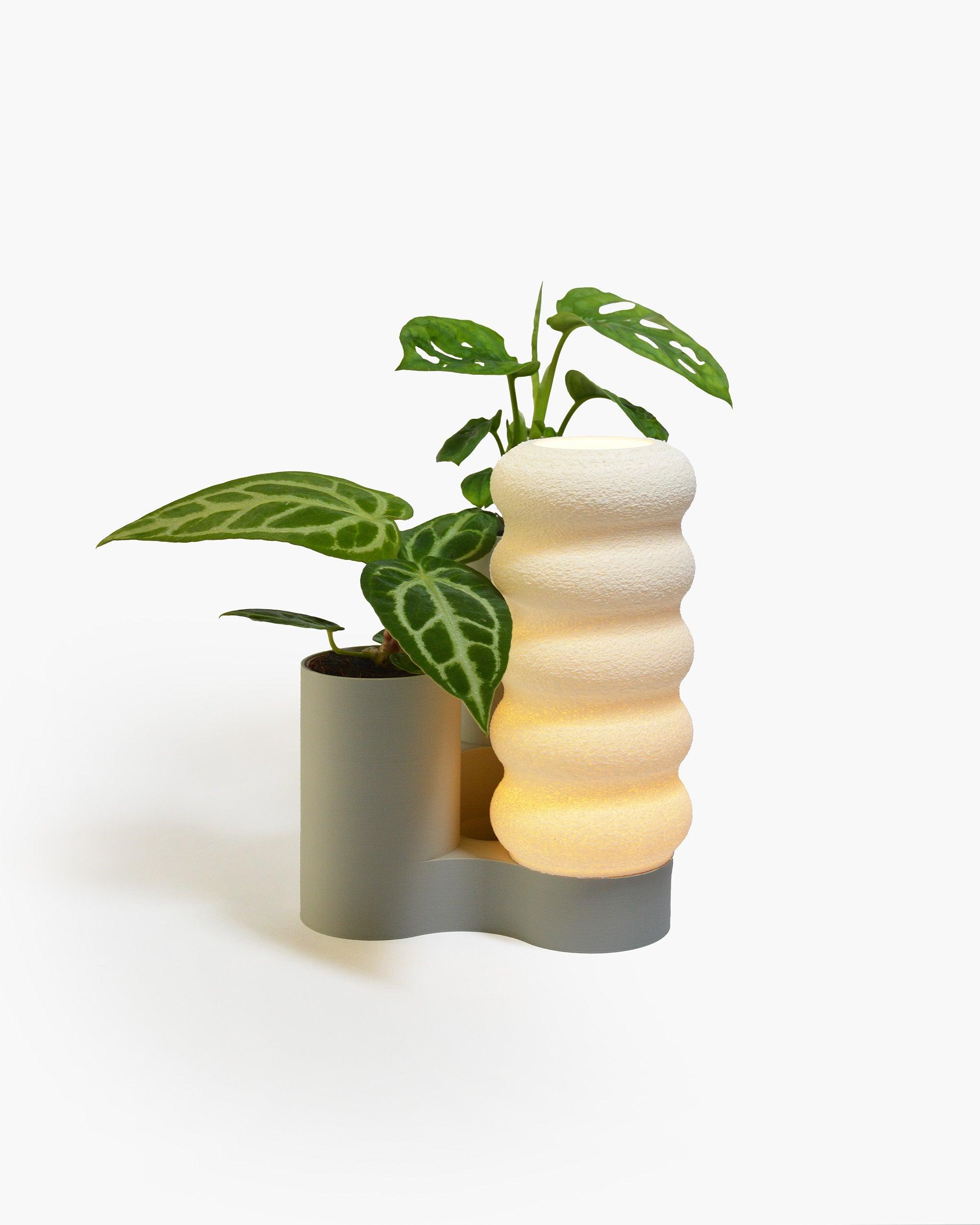 Lumi Organizer - Donut - greenior
