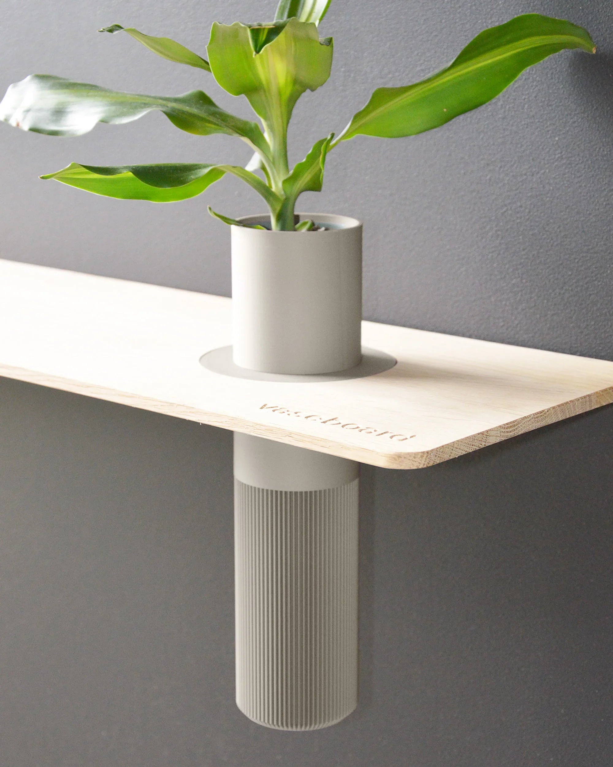 Vaseboard® M Set - Natur