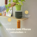 Kräutermodul
