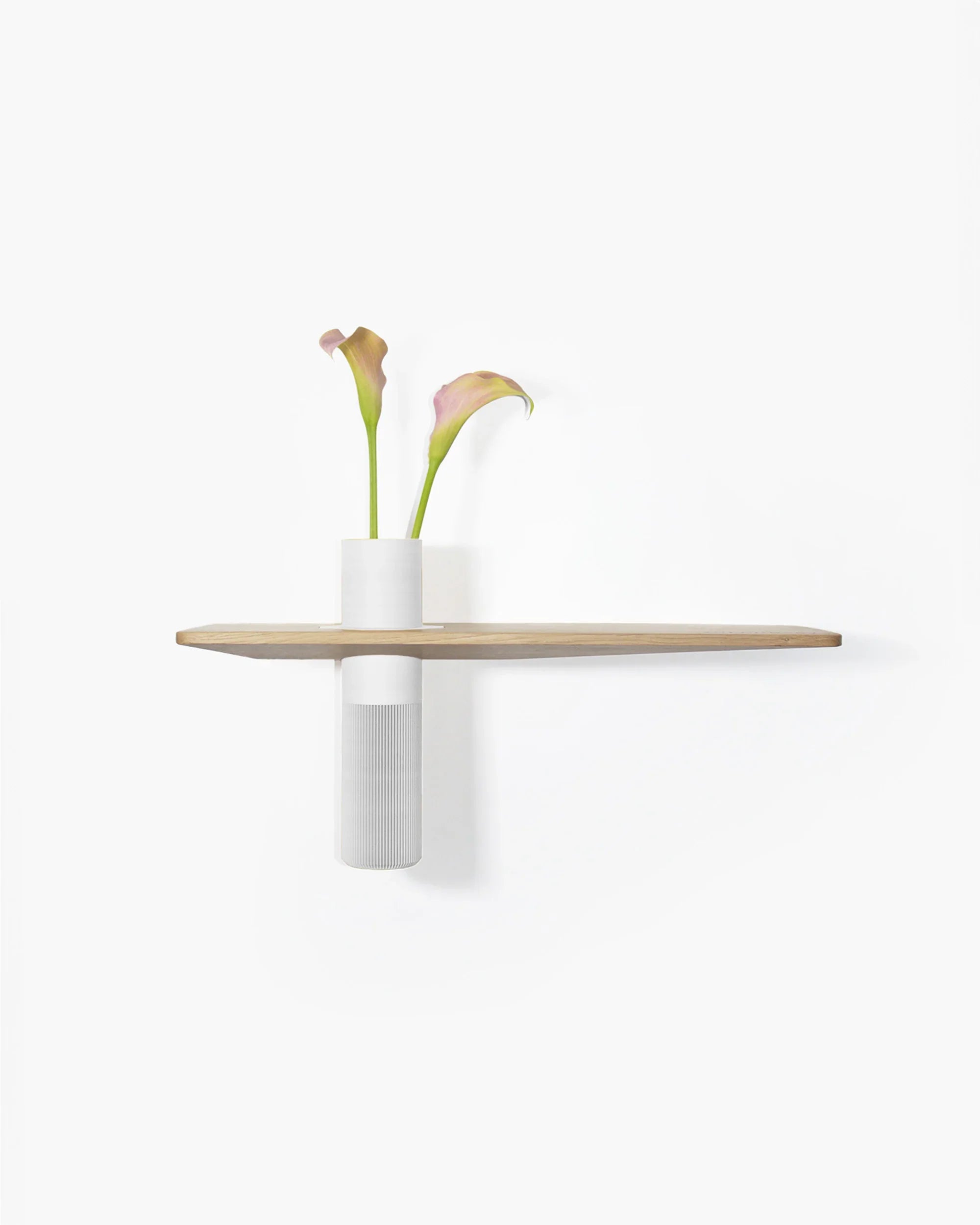 Vaseboard M Set - Natur - greenior