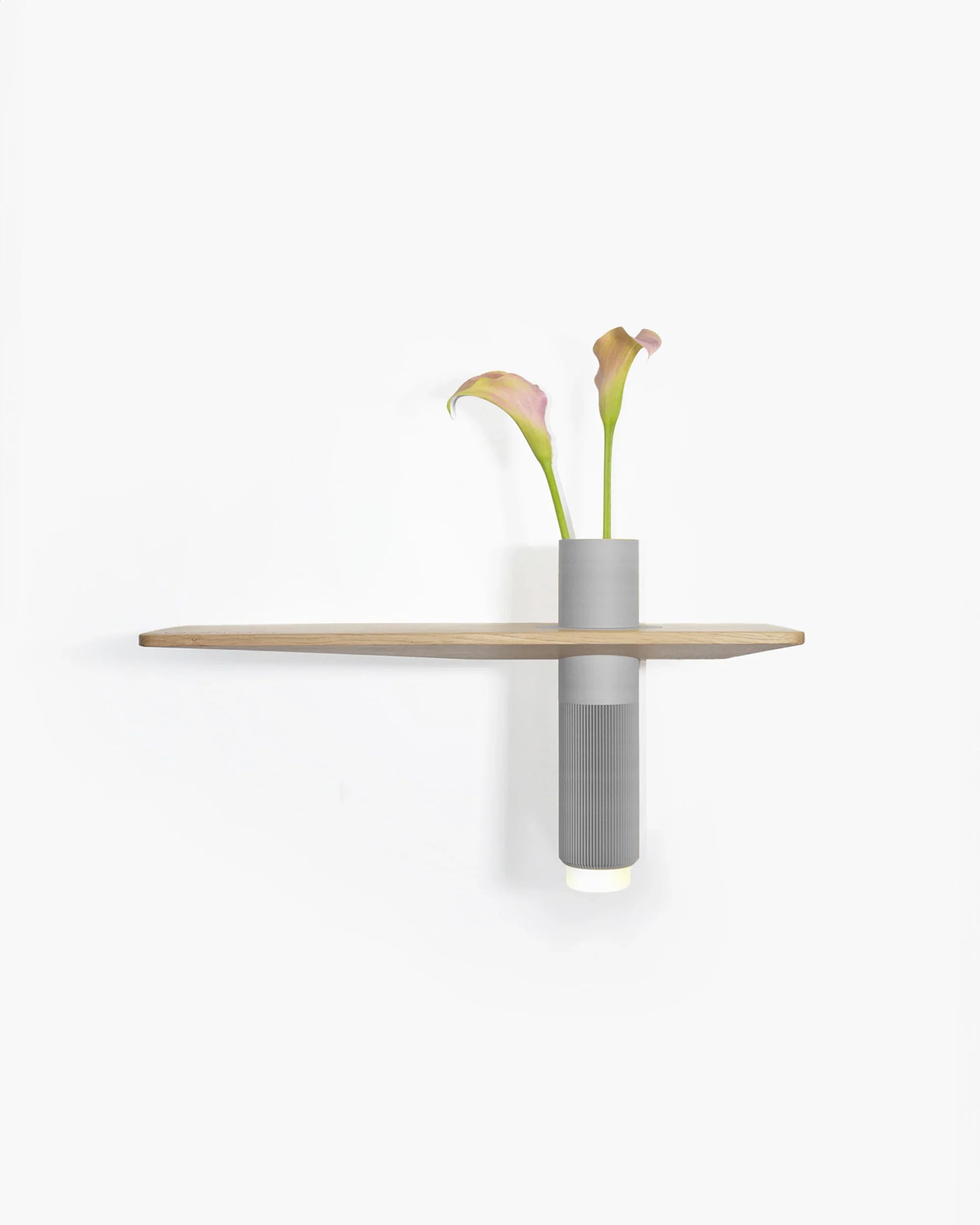 Vaseboard M Set - Natur - greenior