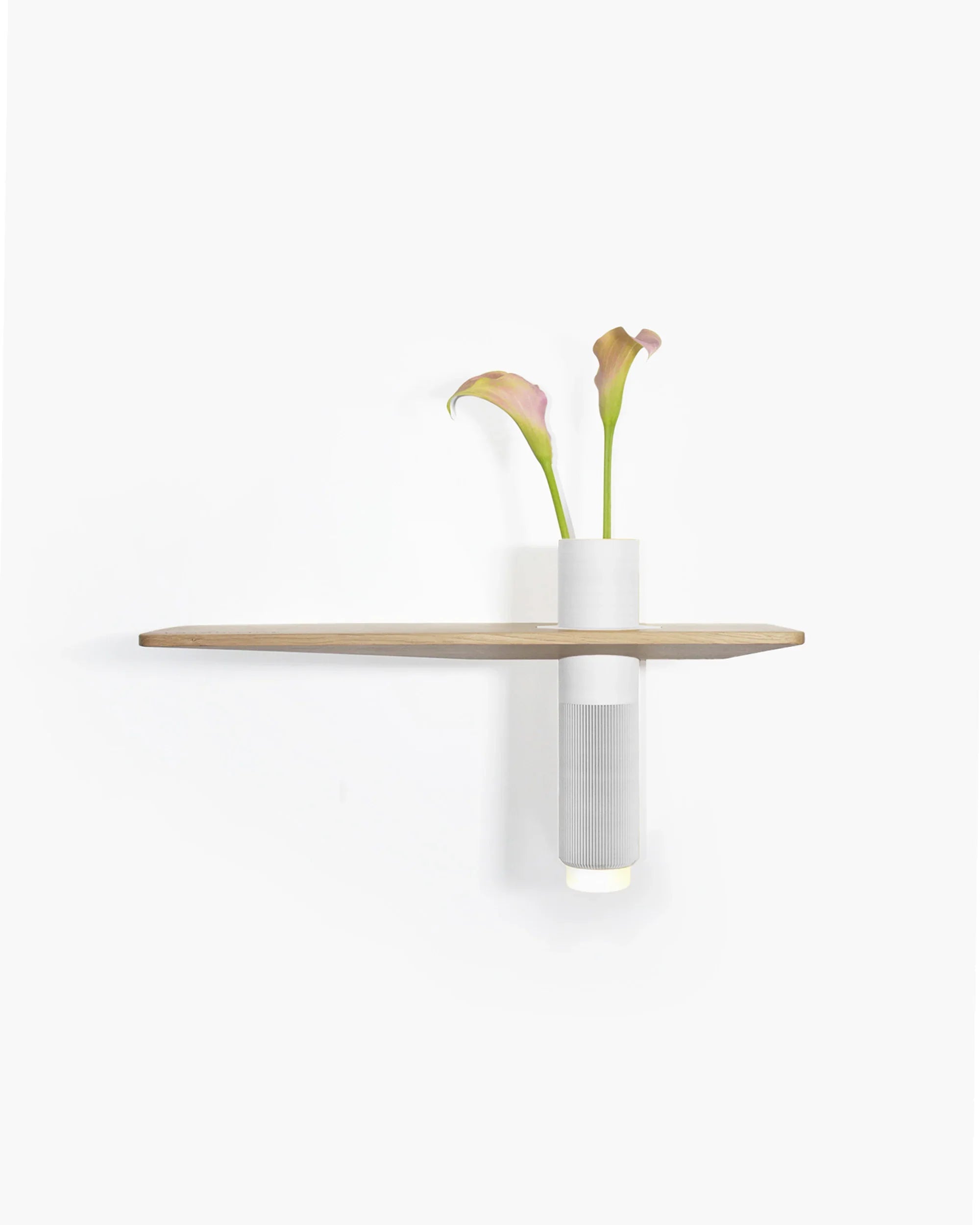 Vaseboard M Set - Natur - greenior